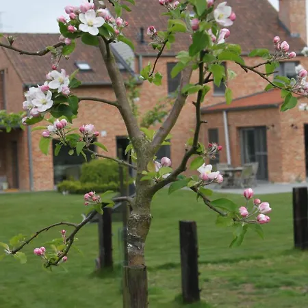 Bed & Breakfast 't Hoogste Bornem